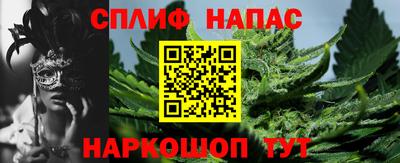 прущие грибы Кунгур