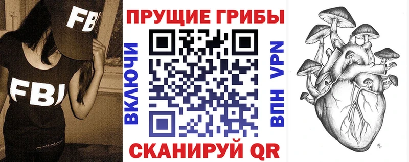 Галлюциногенные грибы Psilocybe  где можно купить   Ступино 